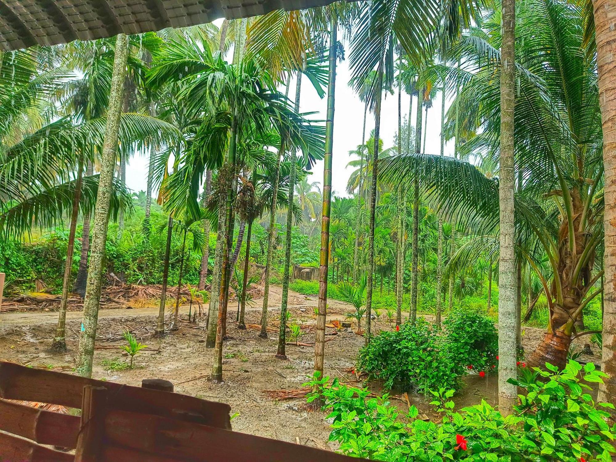 Shivalaya Farmstay Located Amdist Coconut Farm With River Access Near Isha,Adiyogi,Siruvani Alandurai Luaran gambar