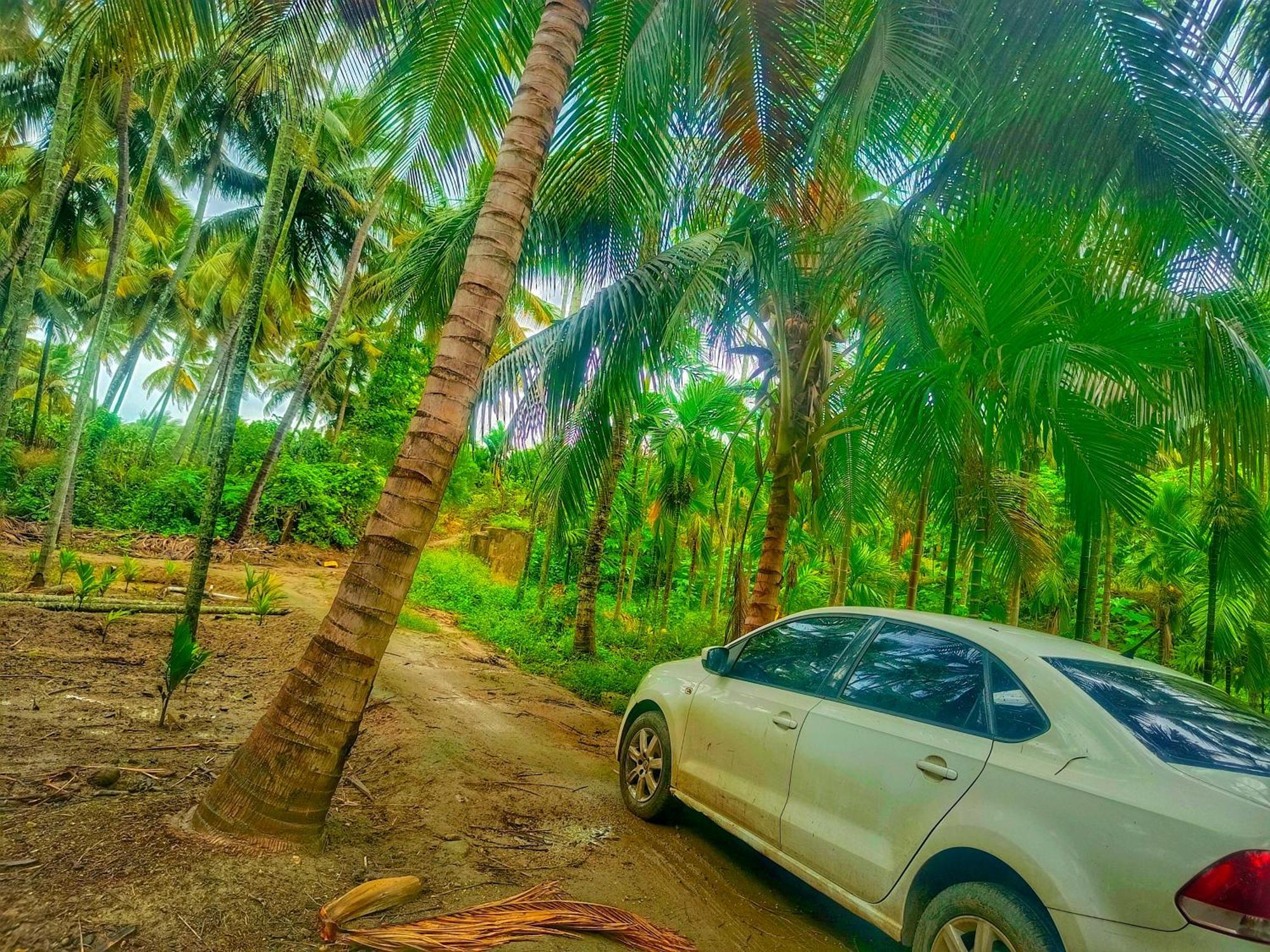 Shivalaya Farmstay Located Amdist Coconut Farm With River Access Near Isha,Adiyogi,Siruvani Alandurai Luaran gambar